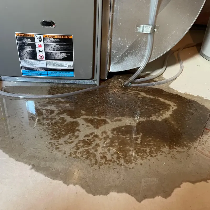 Appliance Leak Cleanup in La Luz, NM